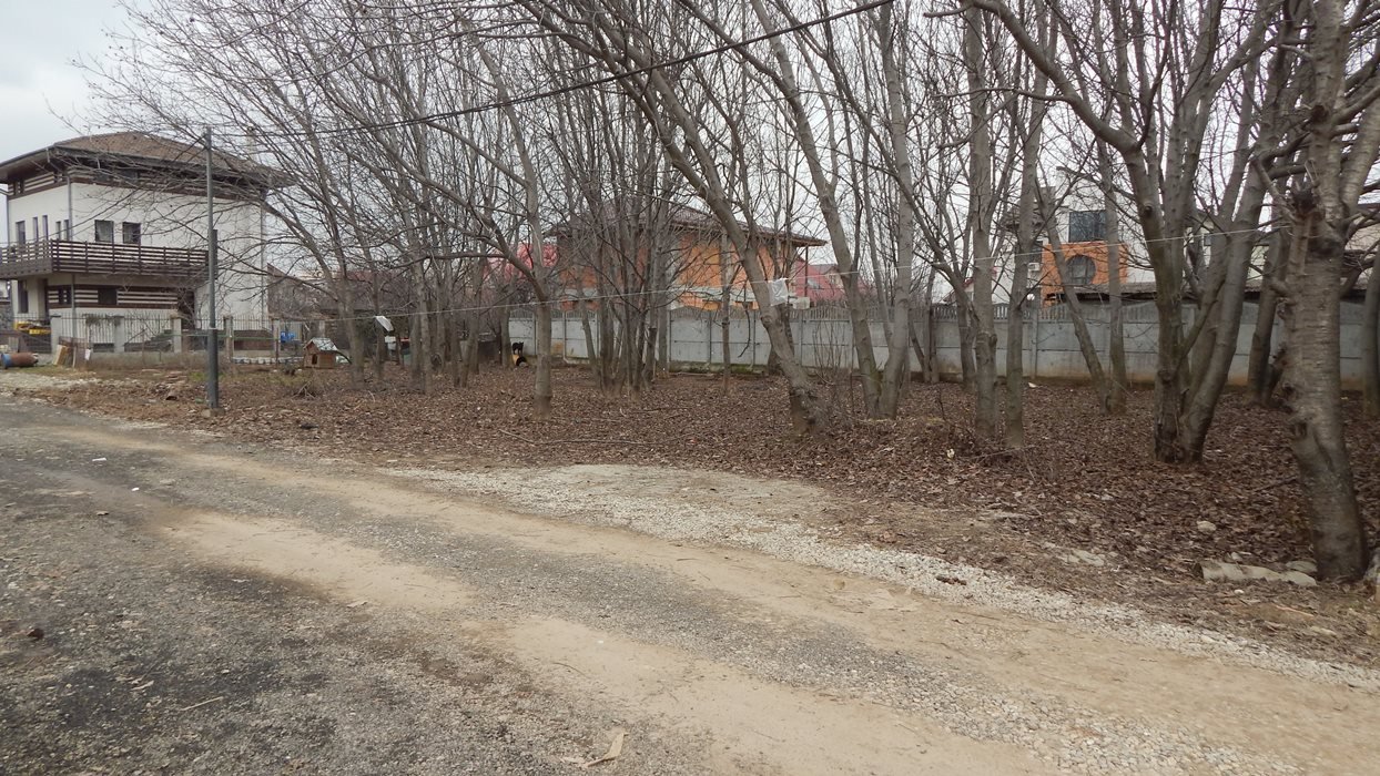 Teren construibil , deschidere 40 m , se poate dezmembra 