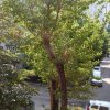 Apartament  3 camere 13 Septembrie