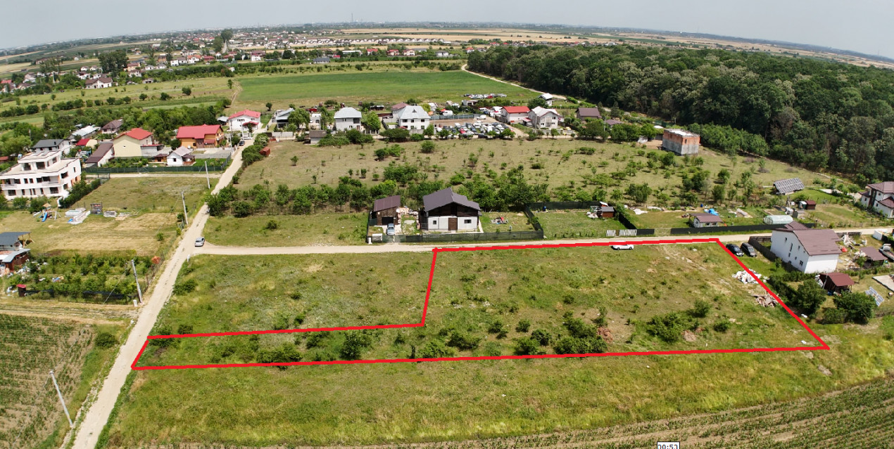 DOMNESTI-TEGHES LOT 1150 MP