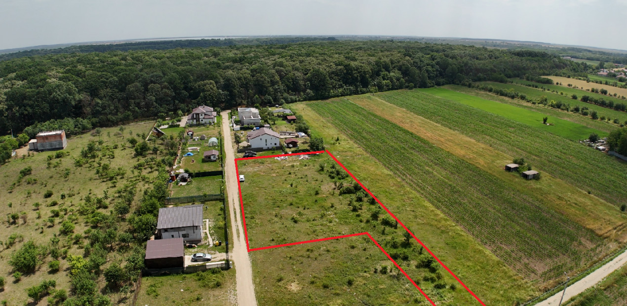 DOMNESTI-TEGHES LOT 1150 MP