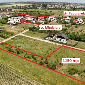 DOMNESTI-TEGHES LOT 1150 MP